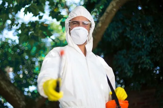 Dezinsectie - Deratizare si Dezinfectie Bucuresti - Ilfov