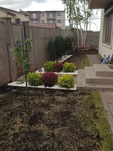 Amenajari gradini si spatii verzi Bucuresti si Ilfov