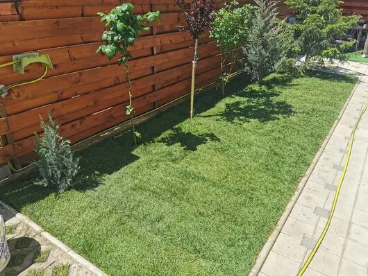 Amenajari gradini si spatii verzi Bucuresti si Ilfov