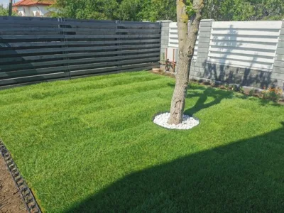 Amenajari gradini si spatii verzi Bucuresti si Ilfov