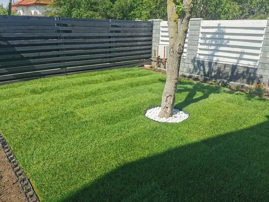 Amenajari gradini si spatii verzi Bucuresti si Ilfov