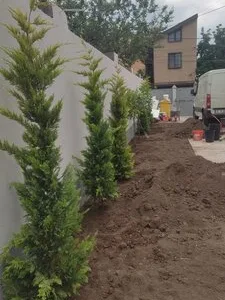 Amenajari gradini si spatii verzi Bucuresti si Ilfov
