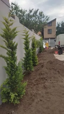 Amenajari gradini si spatii verzi Bucuresti si Ilfov