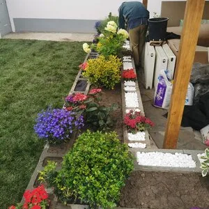 Amenajari gradini si spatii verzi Bucuresti si Ilfov