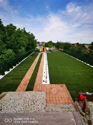 Amenajari gradini si spatii verzi Bucuresti si Ilfov