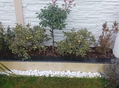 Amenajari spatii exterioare