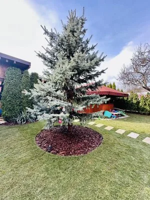 Amenajari spatii exterioare