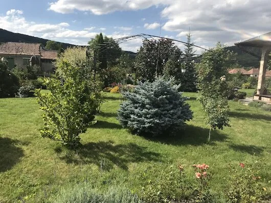 Amenajari gradini rezidentiale - spatii verzi comerciale