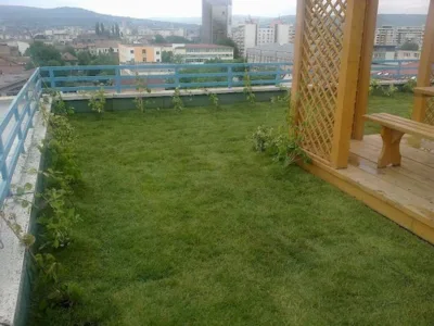 Amenajari gradini rezidentiale - spatii verzi comerciale