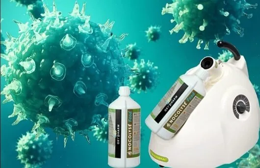 Deratizare - dezinsectie - dezinfectie - Bucuresti