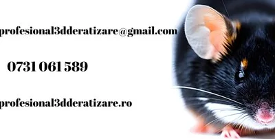 Deratizare - dezinsectie - dezinfectie - Bucuresti