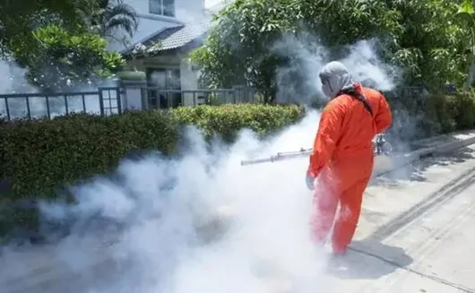 Deratizare - dezinsectie si dezinfectie Bucuresti