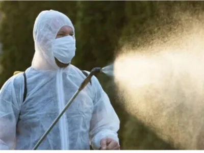 Deratizare - dezinsectie si dezinfectie Bucuresti