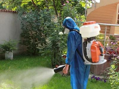 Deratizare - dezinsectie si dezinfectie Bucuresti