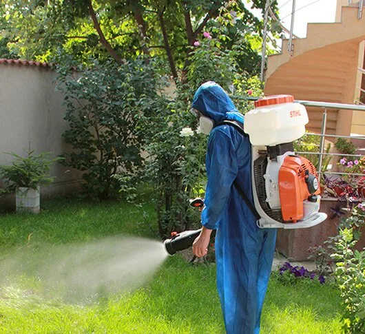 Deratizare - dezinsectie si dezinfectie Bucuresti