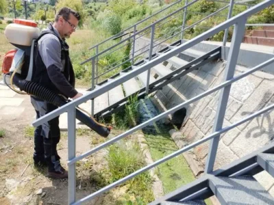 Dezinsectie - Dezinfectie si Deratizare - Bucuresti