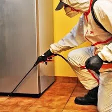 Dezinsectie - Dezinfectie si Deratizare - Bucuresti