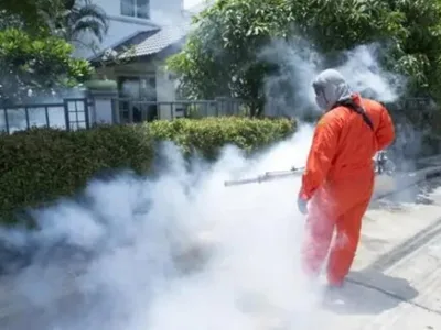 Dezinsectie - Dezinfectie si Deratizare - Bucuresti