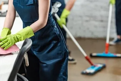 Dezinsectie - Dezinfectie si Deratizare - Bucuresti