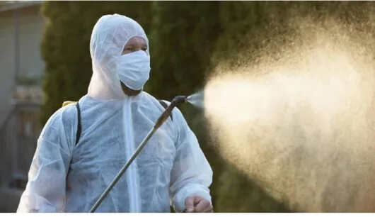 Dezinsectie - Dezinfectie si Deratizare - Bucuresti