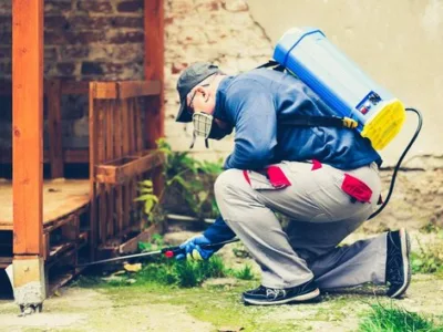 Dezinsectie - Dezinfectie si Deratizare - Bucuresti