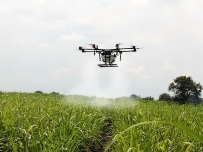 Deratizare - dezinsectie - Dezinfectie ,Bucuresti si Ilfov