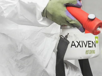 Deratizare - dezinsectie - Dezinfectie ,Bucuresti si Ilfov