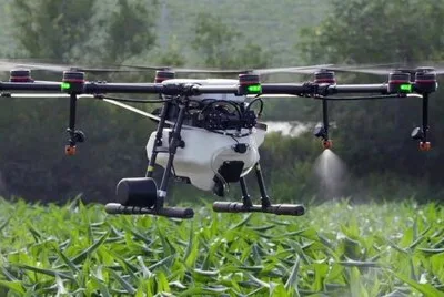 Deratizare - dezinsectie - Dezinfectie ,Bucuresti si Ilfov