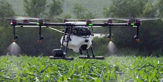 Deratizare - dezinsectie - Dezinfectie ,Bucuresti si Ilfov