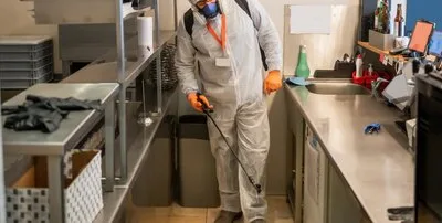 Deratizare - dezinsectie - Dezinfectie ,Bucuresti si Ilfov