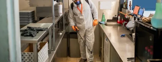 Deratizare - dezinsectie - Dezinfectie ,Bucuresti si Ilfov