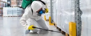 Deratizare - Dezinsectie - Dezinfectie - Bucuresti