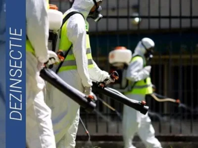 Deratizare - Dezinsectie - Dezinfectie - Bucuresti