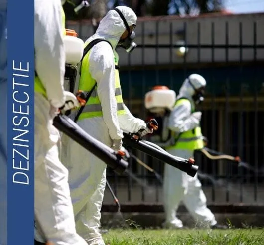 Deratizare - Dezinsectie - Dezinfectie - Bucuresti