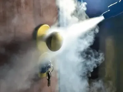 Servicii Dezinsectie - Dezinfectie - Deratizare Bucuresti si national