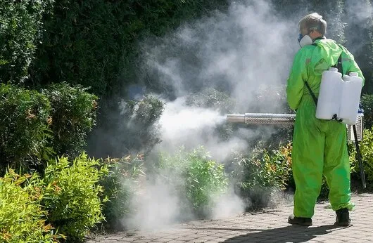 Servicii Dezinsectie - Dezinfectie - Deratizare Bucuresti si national