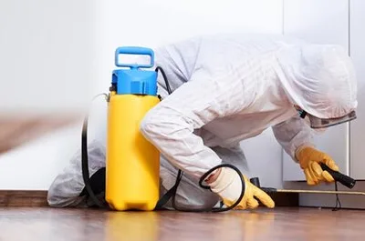 Deratizare - dezinsectie si dezinfectie - Bucuresti