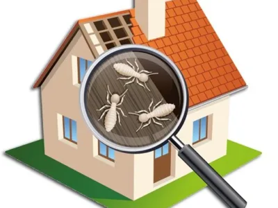 Dezinsectie - Dezinfectie - Deratizare