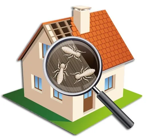 Dezinsectie - Dezinfectie - Deratizare