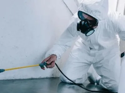 Dezinsectie - Dezinfectie - Deratizare