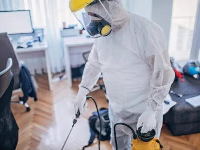 Dezinsectie - Dezinfectie - Deratizare