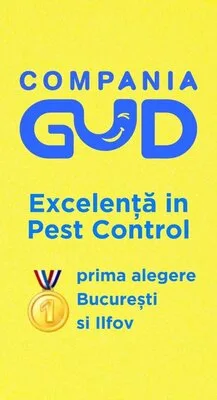 Dezinsectie - Deratizare - Dezinfectie - Bucuresti si Illfov