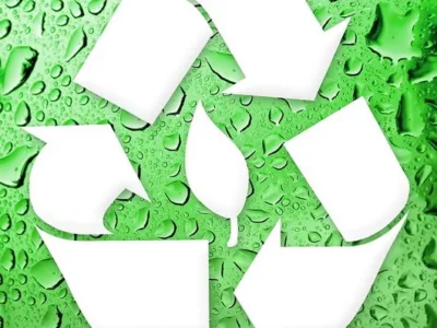 Dezinsectie - Deratizare - Dezinfectie - Bucuresti si Illfov