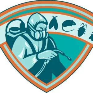 Dezinsectie - Deratizare - Dezinfectie - Bucuresti si Illfov