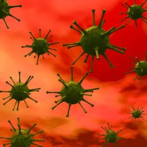 Dezinsectie - Deratizare - Dezinfectie - Bucuresti si Illfov