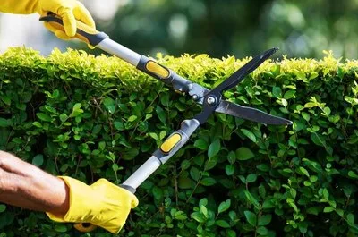 Peisagistica spatii exterioare - Bucuresti