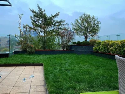 Peisagistica spatii exterioare - Bucuresti