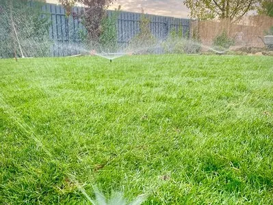 Peisagistica spatii exterioare - Bucuresti