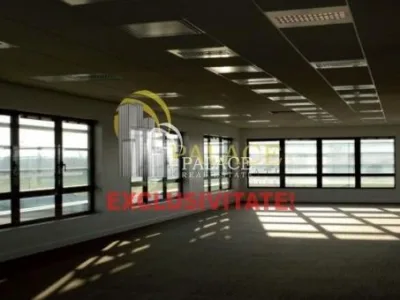 Palace Real Estate