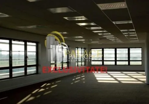 Palace Real Estate